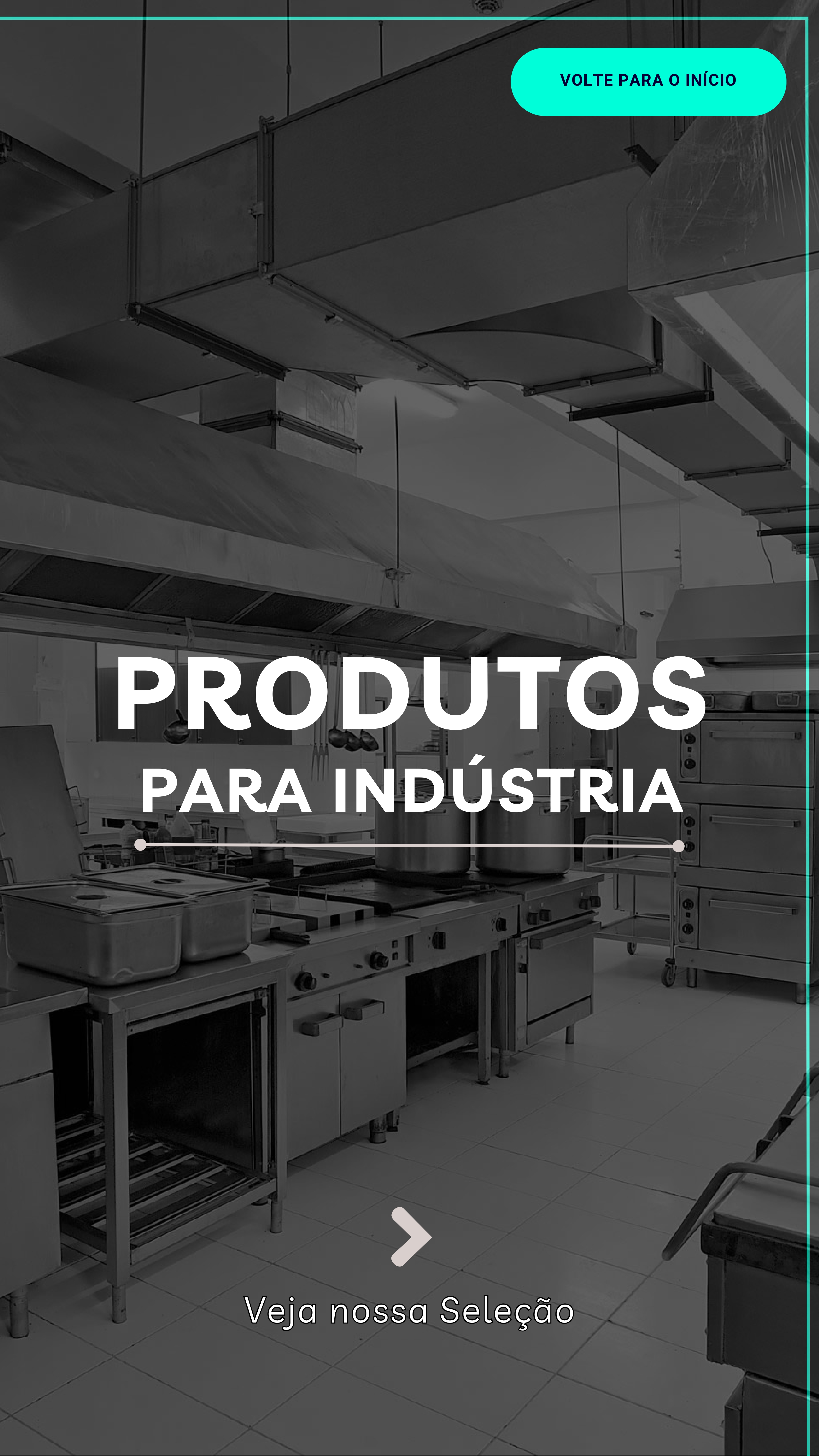 CATÁLOGO DE PRODUTOS OMINIA INOXX OFICIAL _page-0002